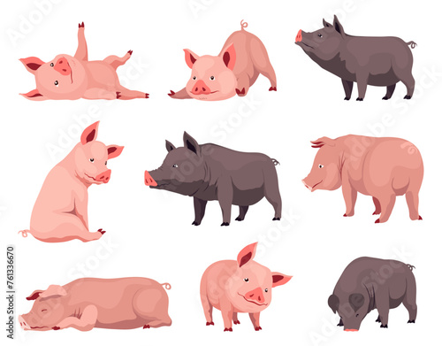 Pig set flat cartoon isolated on white background. Black and pink pigs vector illustration