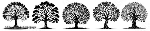 rnamental trees with numerous branching limbs black vector laser cutting engraving
