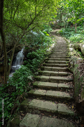 mountain trail hidden in the bamboo forest, and little stream next to the trail,in Yangmingshan National Park, Taipei, Taiwan.