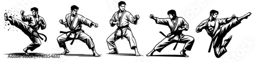 karate kicks and punches, athletic men training in kimonos, black vector © Cris