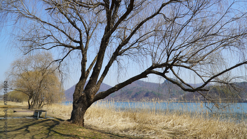 the spring scenery of the Han River the spring scenery of the Han River