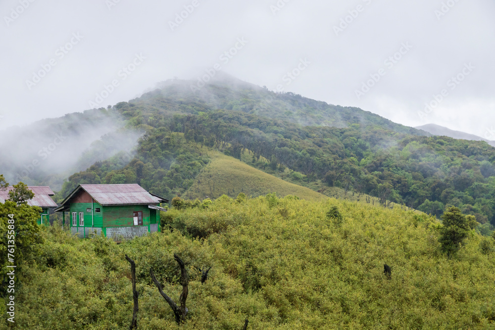 Trekking Hut in dzukou valley is located at the border of the Indian states of Nagaland and Manipur.This valley is well known for its natural environment, seasonal flowers and flora and fauna.