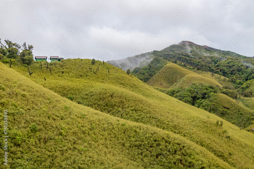 Trekking Hut in dzukou valley is located at the border of the Indian states of Nagaland and Manipur.This valley is well known for its natural environment, seasonal flowers and flora and fauna.