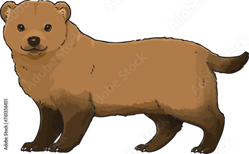 Simple illustration of cute Bush Dog