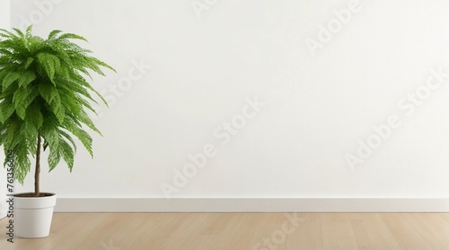 Room interior ,plant in a interior