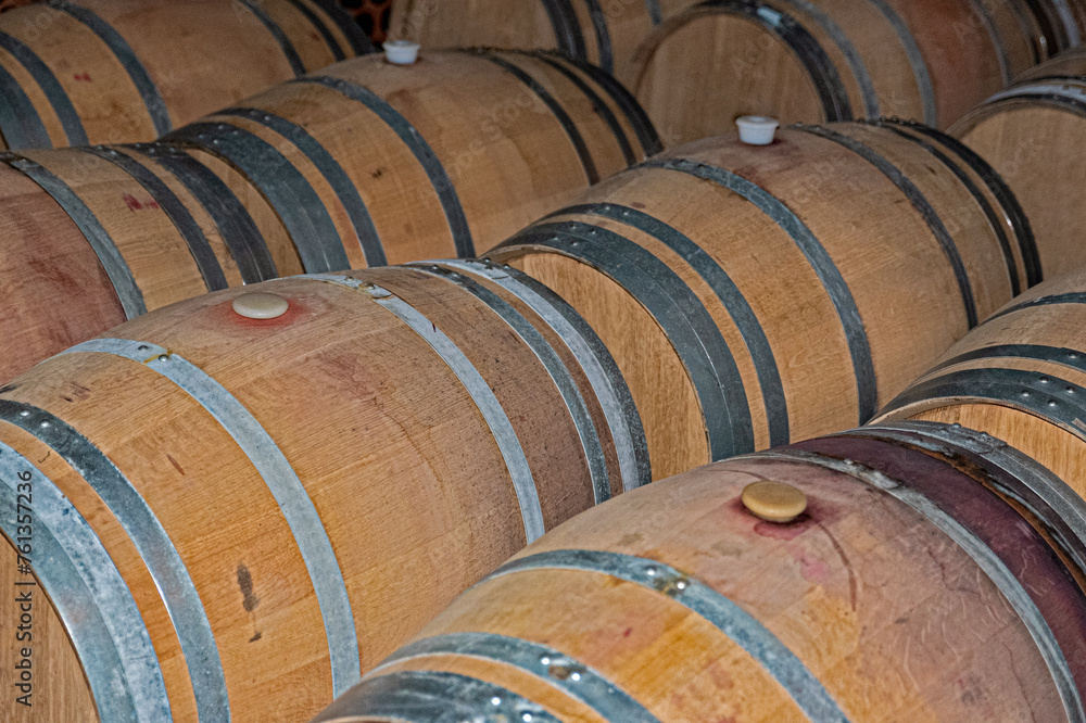 wooden vats for winemaking and winery