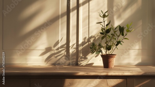 A potted plant sits on a wooden table, casting a shadow on the wall