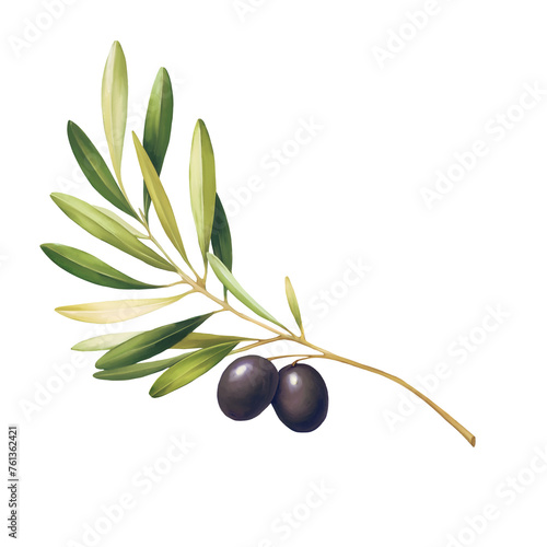 Olive branch sketch illustration. Isolated