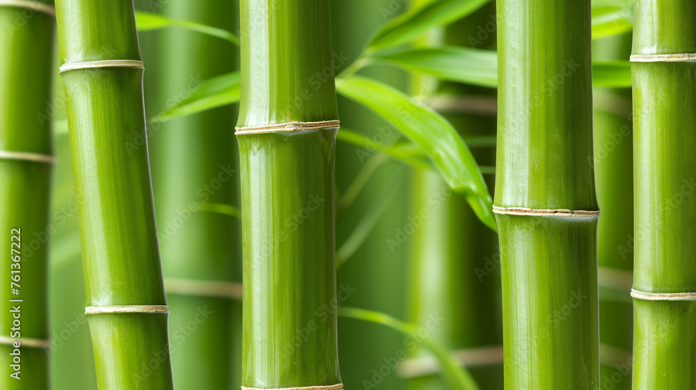 bamboo background close up сreated with Generative Ai bamboo background close up сreated with Generative Ai