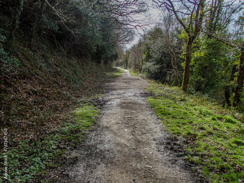 Cornish Woodland Trail