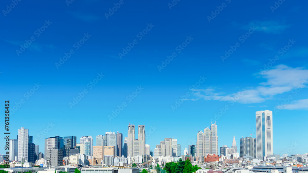 初夏の東京大空 2024 初夏の東京大空 2024