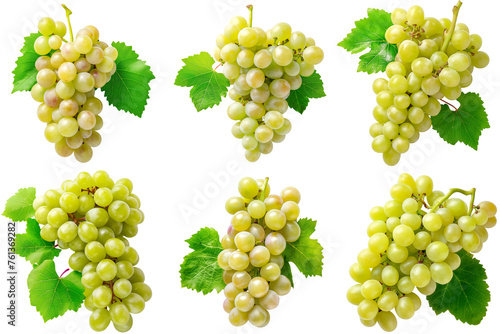 Bunches of white grapes with green leaves on a transparent background