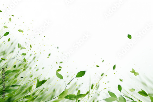 White background with green leaves and grass