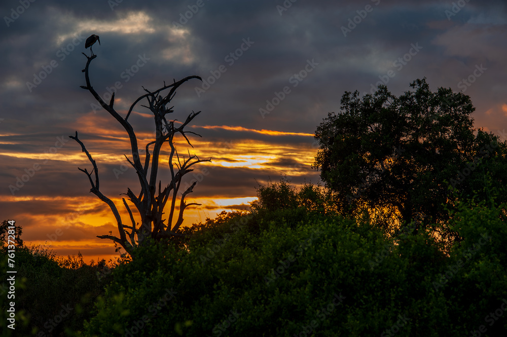 sunrise over Africa to dream sunrise over Africa to dream