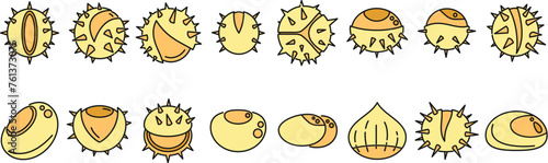 Chestnut icons set outline vector. Horse food. Autumn tree thin line color flat isolated