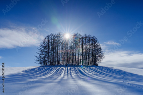 《北海道の絶景》冬のマイルドセブンの丘の彩雲