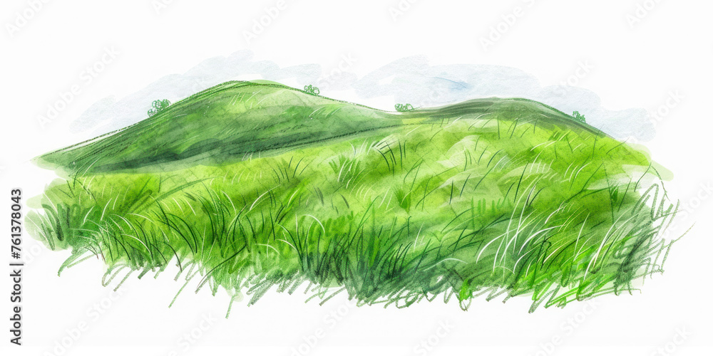 Green grass field on small hills. Meadow, alkali, lye, grassland, sketch illustration. - obrazy, fototapety, plakaty 