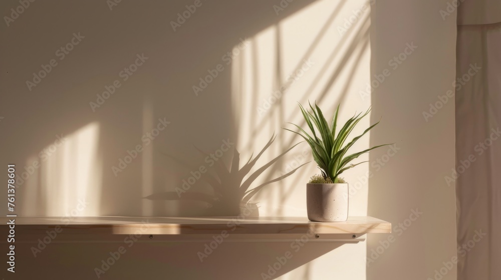 Serene Plant on Shelf Serene Plant on Shelf