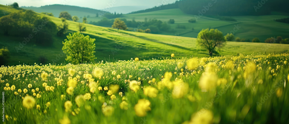 Fototapeta premium Beautiful spring nature landscape with blooming trees. Meadow, green hills, glade with flowers on sunny day. Generative ai 