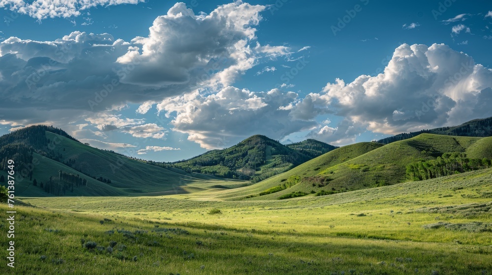 Green Rolling Hills Landscape Green Rolling Hills Landscape