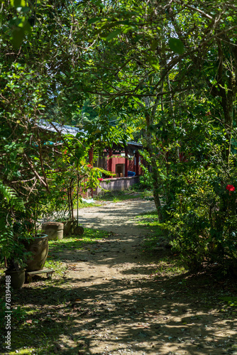 Unpaved road at  Kampong Lorong Buangkok in Singapore. photo