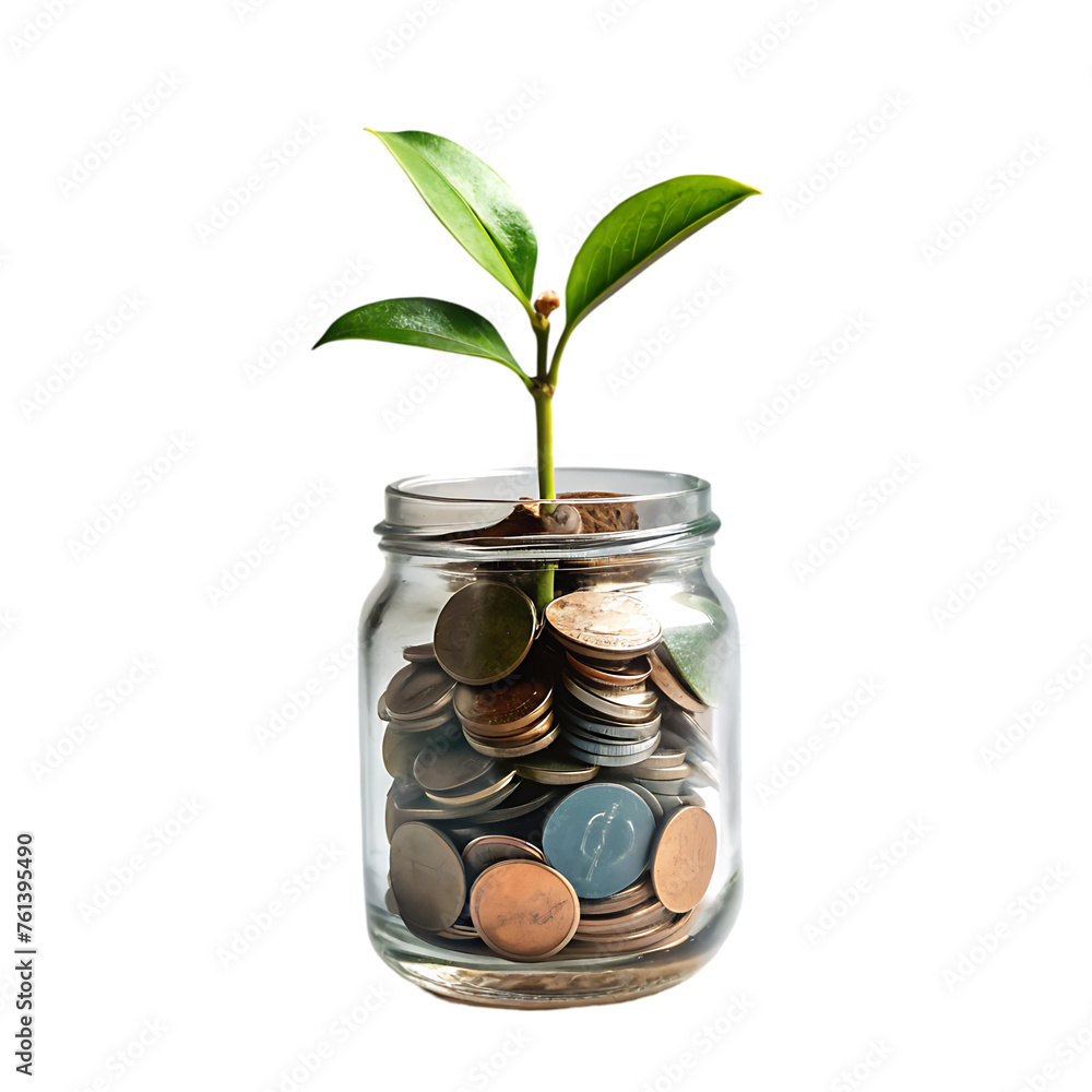 front view of hand adding coin to jar with plant and other coins front view of hand adding coin to jar with plant and other coins