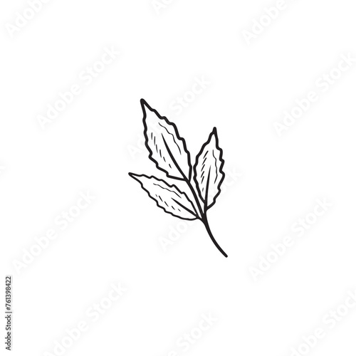 Realistic beautiful tropical branch with leaves inblack isolated on white background. HAnd drawn vector sketch illustration in vintage doodle engraved line art style. Botanical floral single drawing.
