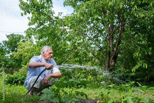 Senior gardener focusing intently on watering his plants, the garden hose in his firm grip, symbolizing dedication to the nurturing of his green sanctuary, on a bright summer day.