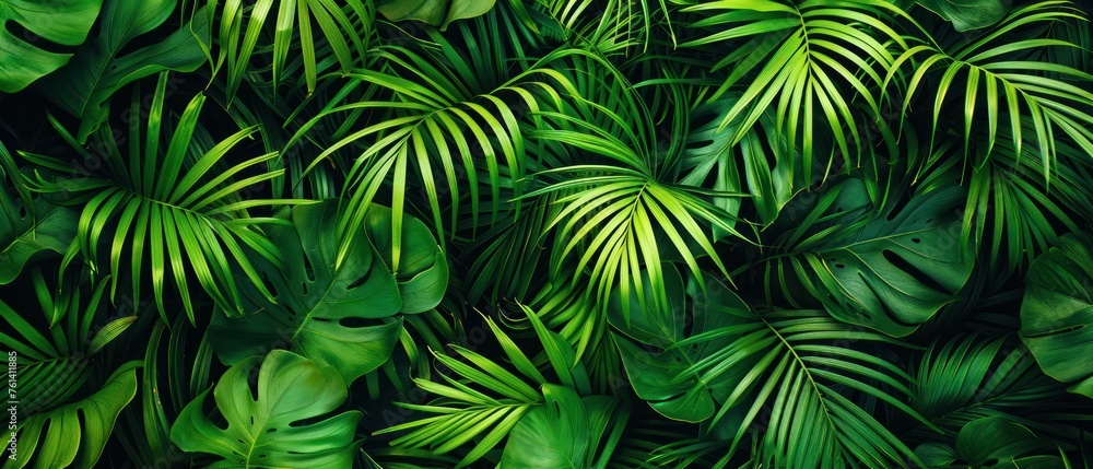 palm leaf pattern, exotic tropic foliage jungle background palm leaf pattern, exotic tropic foliage jungle background
