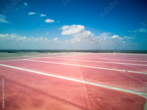 Las Coloradas Pink lake , Mexico . Drone