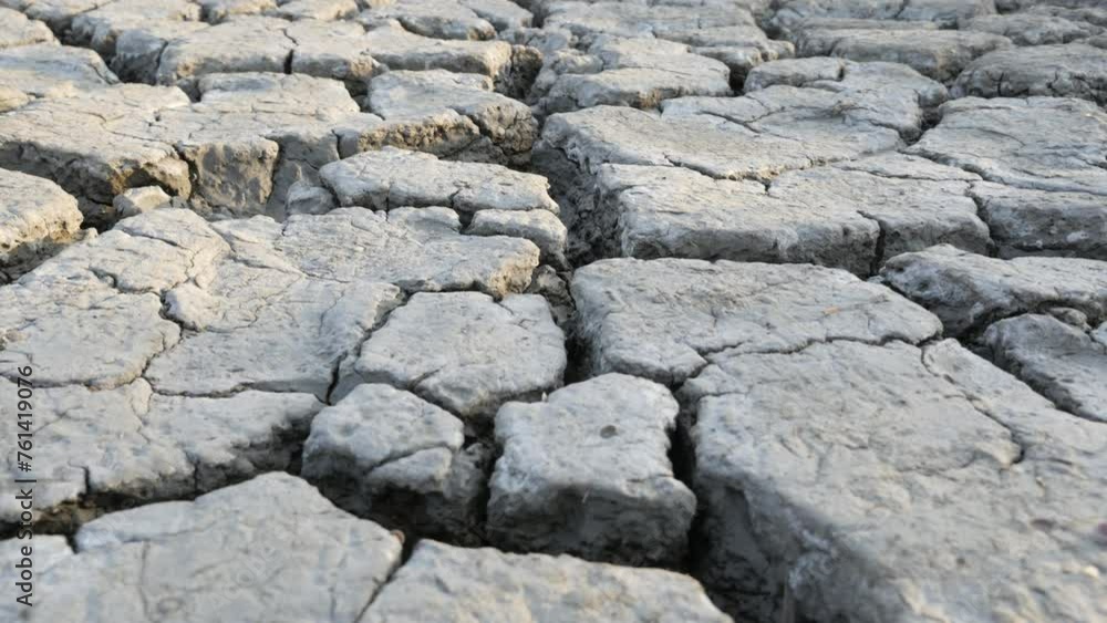 Drought Disaster, Dry Soil. Concept: Climate Change, Global Warming
Drought Disaster, Dry Soil. Concept: Climate Change, Global Warming