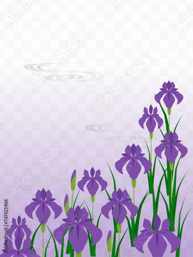 咲誇る紫色の菖蒲の花の仏事用フレーム photo