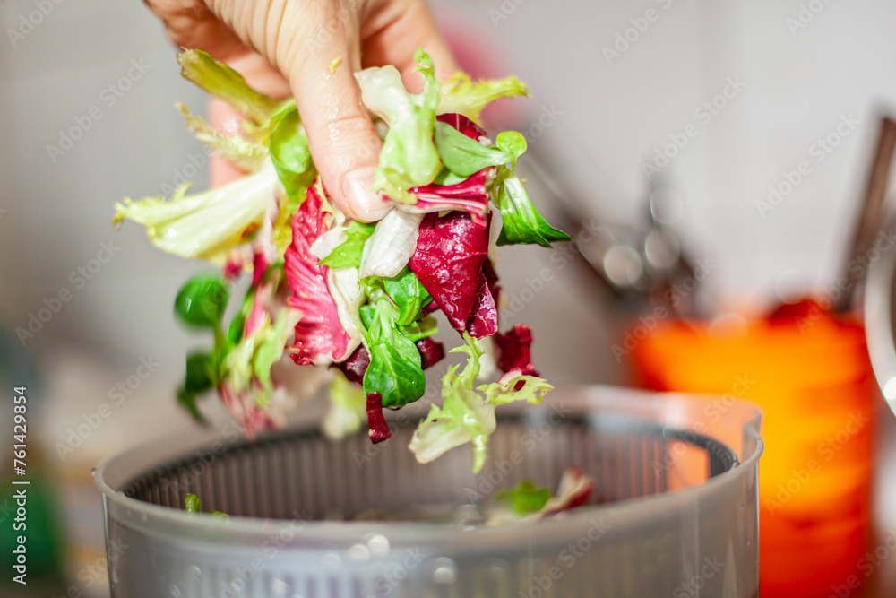 Woman washing salad leaves in centrifuge spinner. Healthy lunch preparation in kitchen at home. Keto concept.