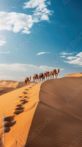 Camelcade on sand dune at desert photo