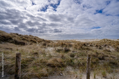 Sand dunes on North Sea coast, Netherlands.