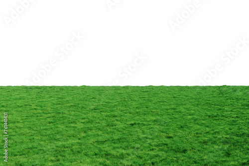 Green field stretching into the horizon on a white background, green lawn. 3D rendering, copy space.