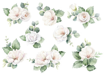 White roses and eucalyptus branches. Watercolor floral bouquets. Foliage arrangement for wedding , greetings, wallpapers, fashion, fabric, home decoration. Hand painted illustration.