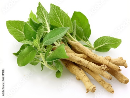 Ashwagandha is a herbal supplement derived from the root of the Withania somnifera plant photo