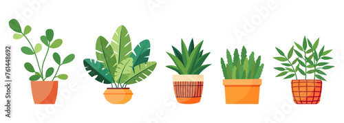 Set of house plants in a pot. Flat style. Green plant in a flower pot for cozy decoration of home, garden, veranda, balcony, terrace, office, living room, patio. Vector illustration. photo