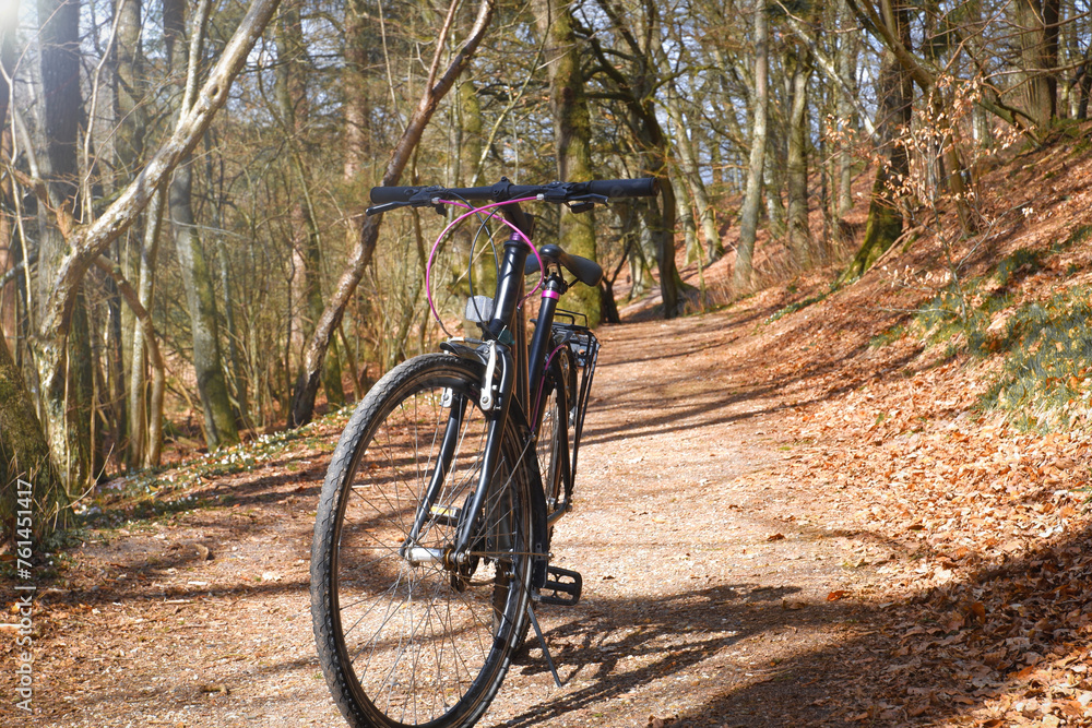 Bicycle in the park. A sport bike stands on a dirt path in a park illuminated by the spring sun among large trees. Bicycle in the park. A sport bike stands on a dirt path in a park illuminated by the spring sun among large trees.