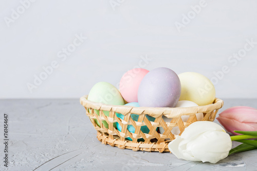 Happy Easter composition. Easter eggs in basket on colored table with yellow Tulips. Natural dyed colorful eggs background with copy space