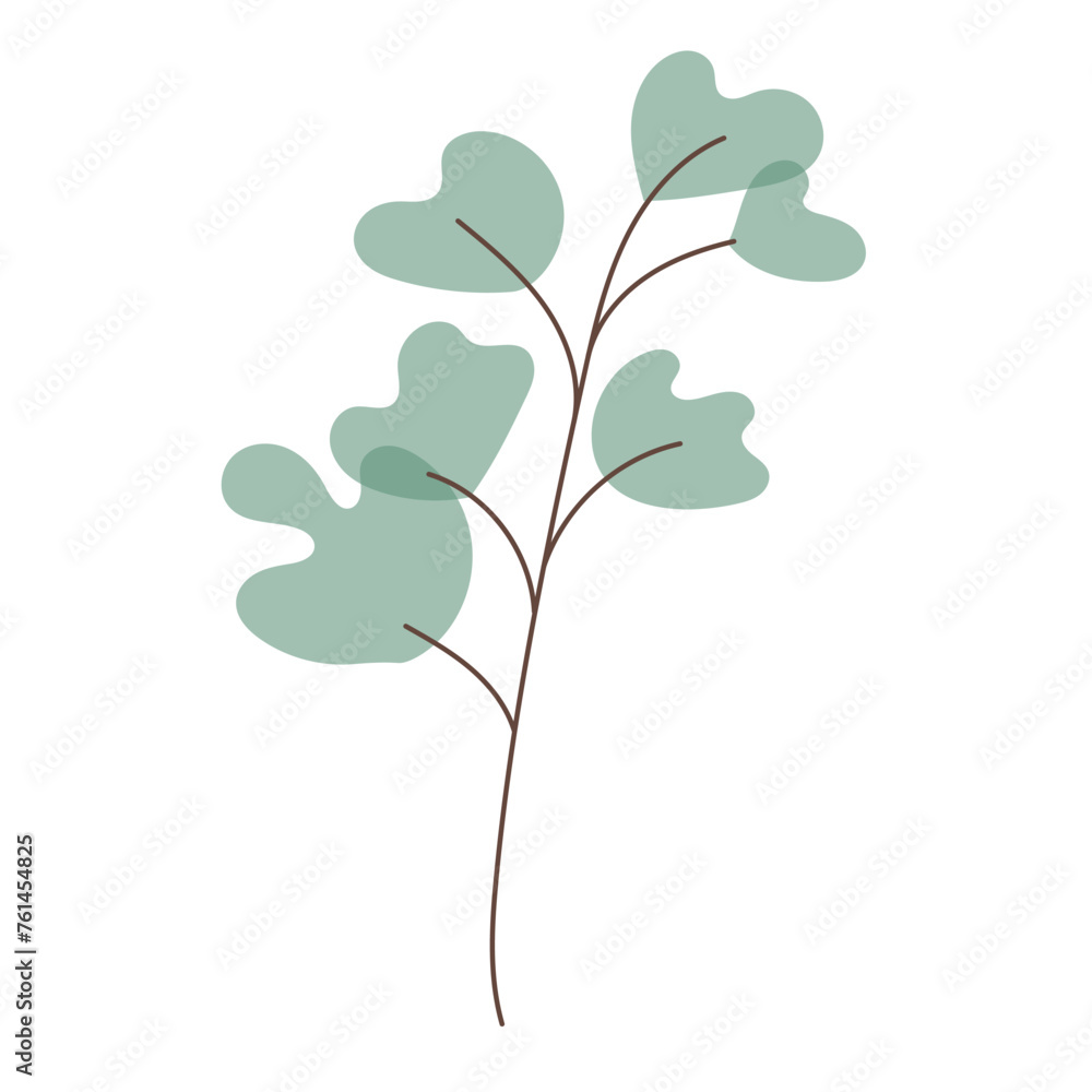 Wild grass, herb with leaves. Hand drawn vector. Botanical element, eucalyptus Wild grass, herb with leaves. Hand drawn vector. Botanical element, eucalyptus