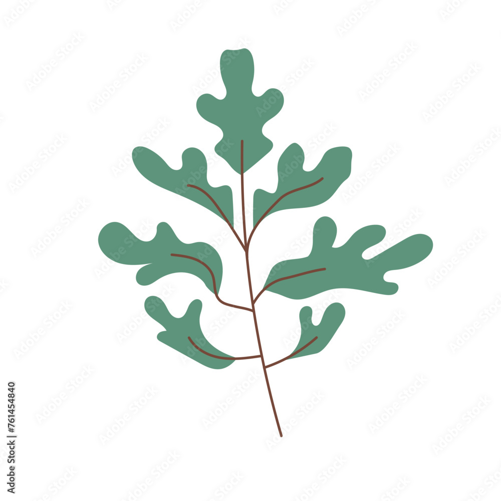 Wild grass, herb with leaves. Hand drawn vector. Botanical element