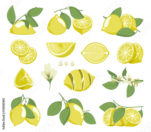 Lemon slices. Citrus fruit with juice and peel, organic natural vitamin C ingredients, fresh yellow fruit pieces for cooking. Vector isolated set. Ripe tropical product, sliced, halved element