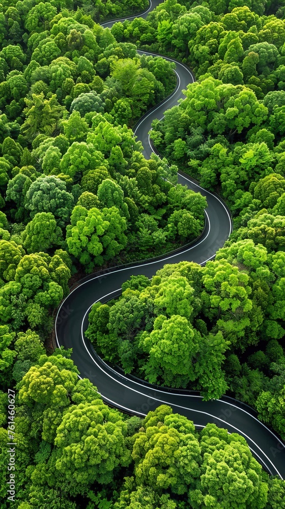 Aerial view of winding road amidst trees in forest Aerial view of winding road amidst trees in forest