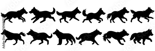Wolf silhouettes set, large pack of vector silhouette design, isolated white background photo