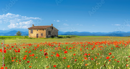 landscape with poppies and old stone house in summer  Italy  Europe. beautiful green meadow in spring or autumn time