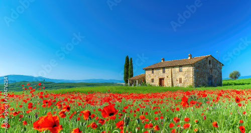 landscape with poppies and old stone house in summer  Italy  Europe. beautiful green meadow in spring or autumn time
