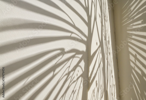 Shadow of leaves on white wall with sunlight and shadows