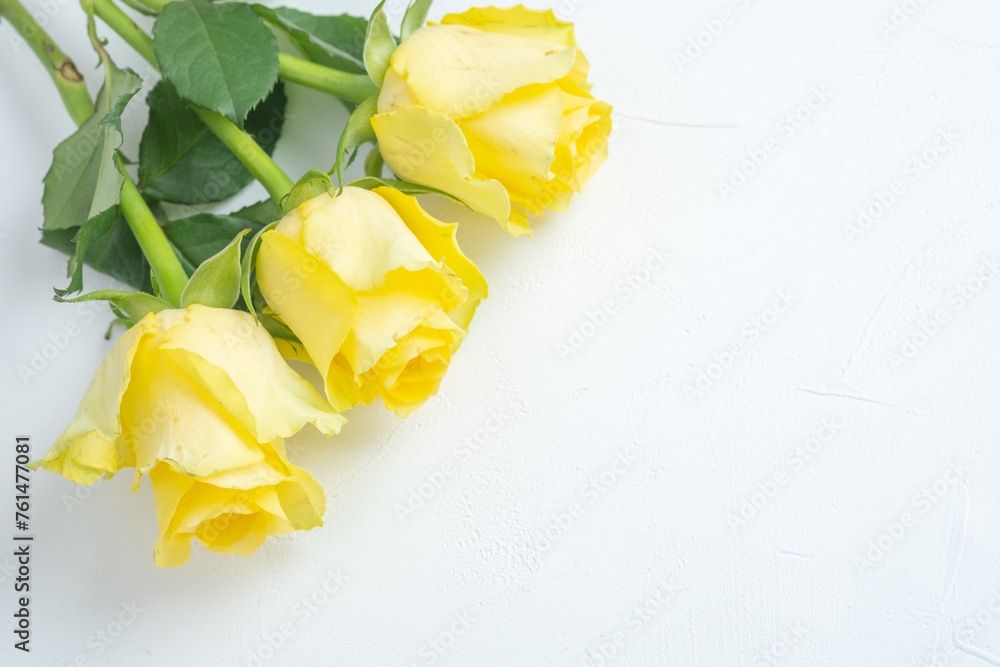 黄色い薔薇と白背景のフリースペース